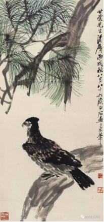 圖片
